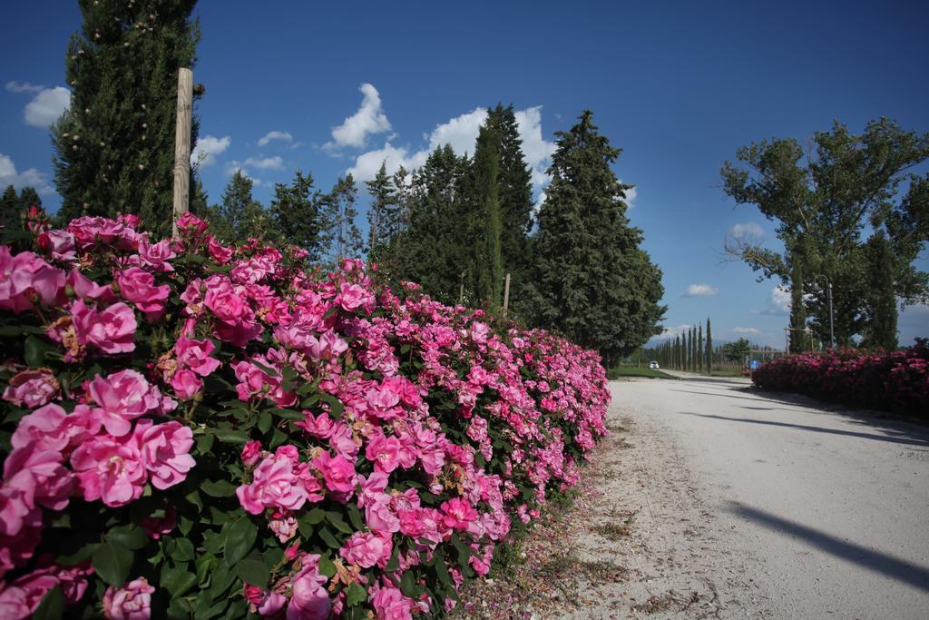 Resort E Spa San Crispino Assisi Exterior foto